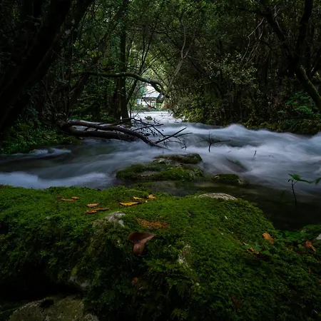 Willa Marlea Konavle Dubrovnik Gruda
