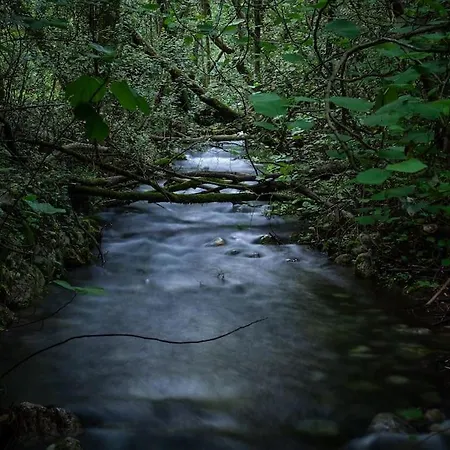 Willa Marlea Konavle Dubrovnik Gruda