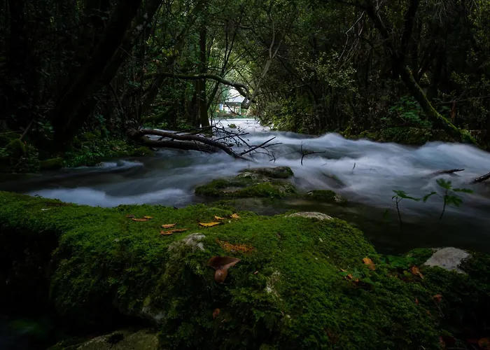 וילה Marlea Konavle Dubrovnik Gruda