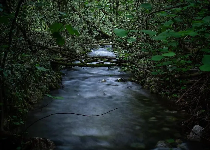 וילה Marlea Konavle Dubrovnik Gruda